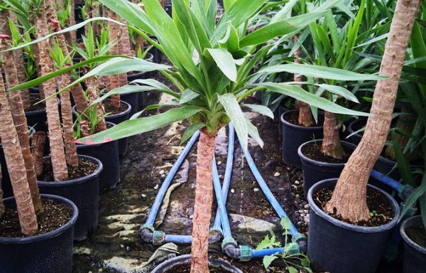 Yuk s010010 600x384 - &Uuml;r&uuml;nler