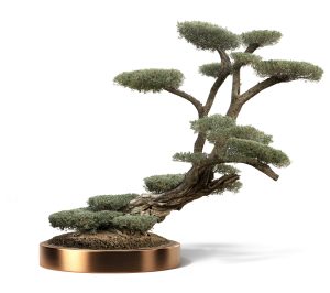 KATALOG 4 21 1 300x266 - Olea Europaea (Olives)